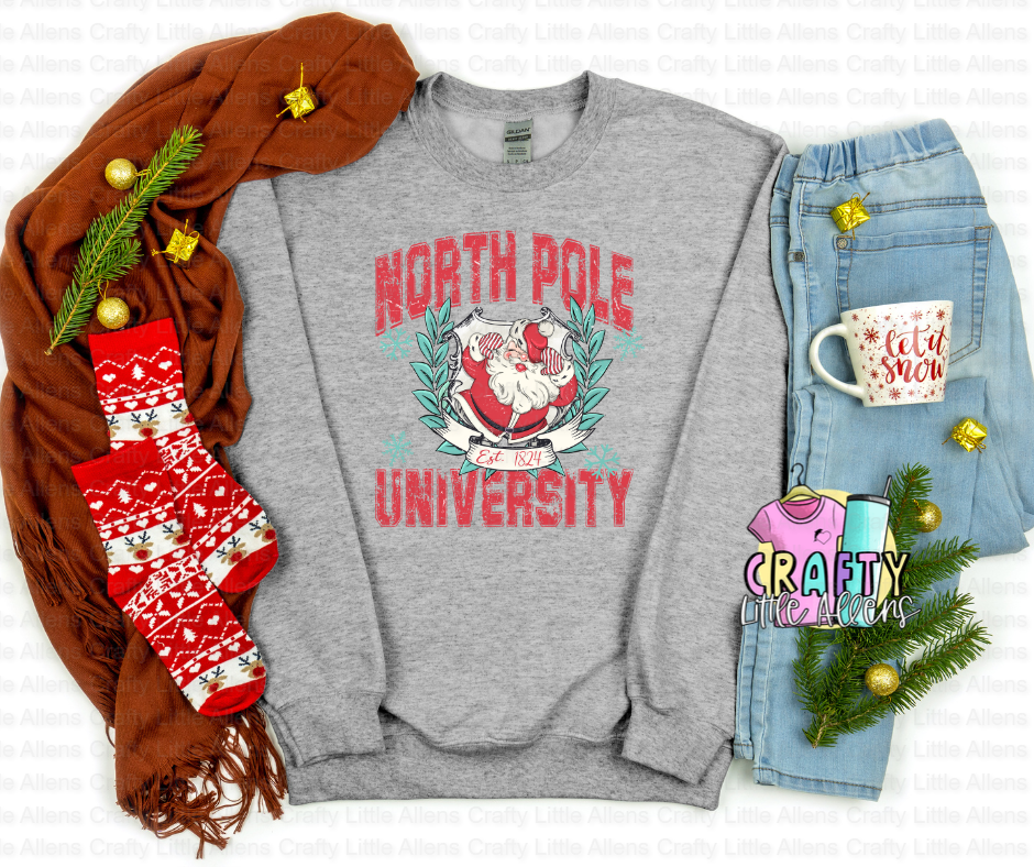 North Pole University